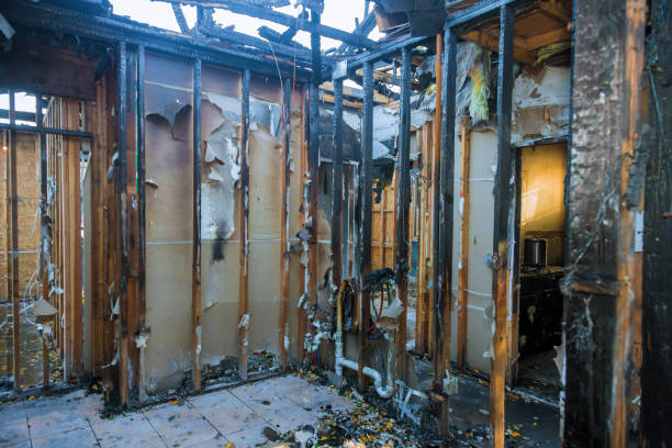 Professional Fire Damage Repair technician working in Laveen, AZ